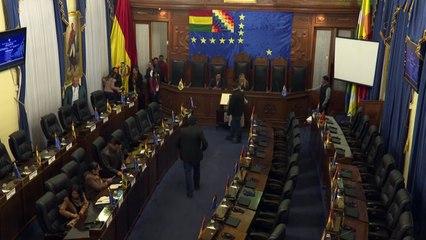 بوليفيا تنهي شغور السلطة وموراليس يندد "بانقلاب"