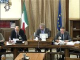 Roma - Audizione Istat su fondo finanziamento missioni internazionali (13.11.19)