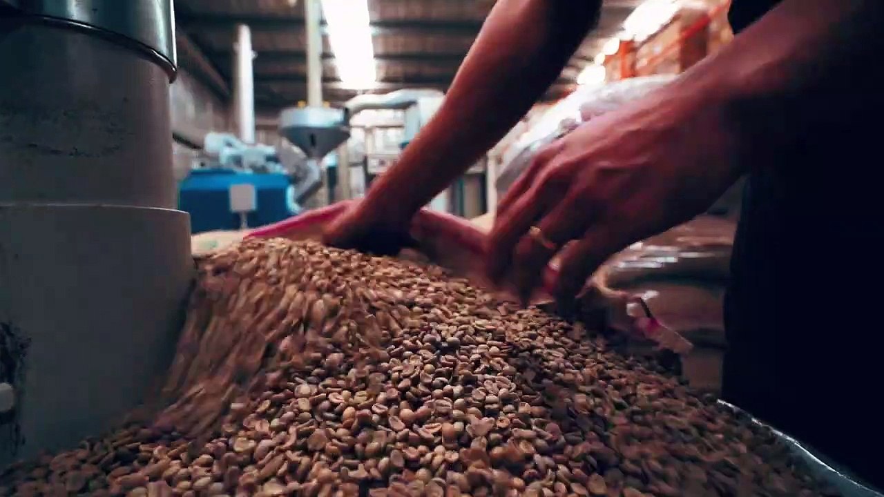 Coffee Planet Roastery