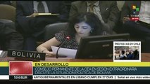 Canciller de Bolivia envía carta a la OEA