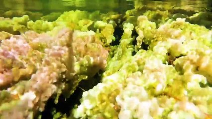 9 Fenómenos Naturales Increíbles Que Debes Ver