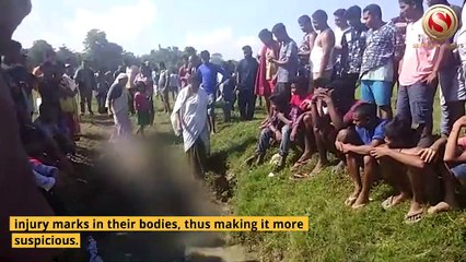 Two wild jumbo’s mysterious deaths in Sivasagar sparks outrage