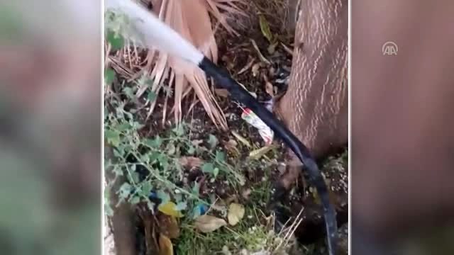 Tel Abyad ve Rasulayn'ın su sorunu çözülüyor