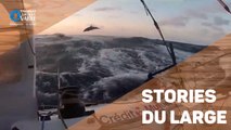 TRANSAT JACQUES VABRE - Les stories du large #Jour14/15/16 - 12/11/2019