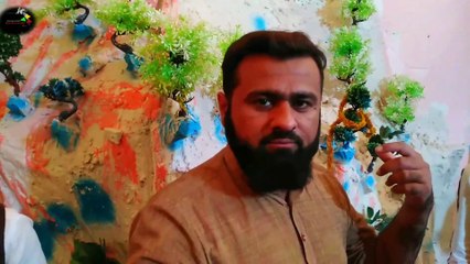 How to celebrate|Jashn e Eid milad un Nabi|in kasur|Part2|قصور میں جشن عید میلاد النبی| کیسے منائی جاتی ہے