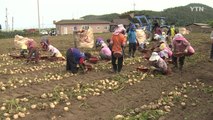 북한 농사 돕는다...농자재 지원 준비 끝 / YTN