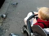 Feeding the pigeons