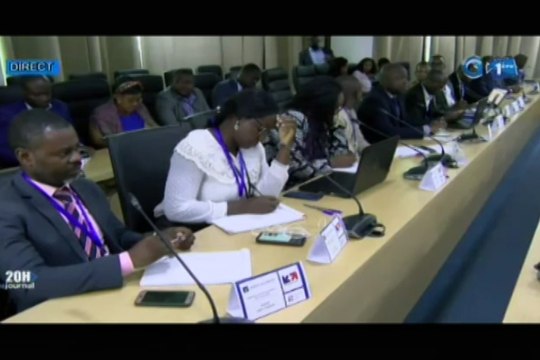 RTG/Séminaire de renforcement des capacités organise par l’ANPI Gabon, Business France et le centre de commerce international