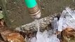Regardez l'eau glacée sortir d'un tuyau d'arrosage !