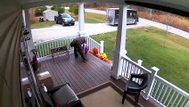 Ce livreur UPS range la terrasse de cette maison avant de partir !