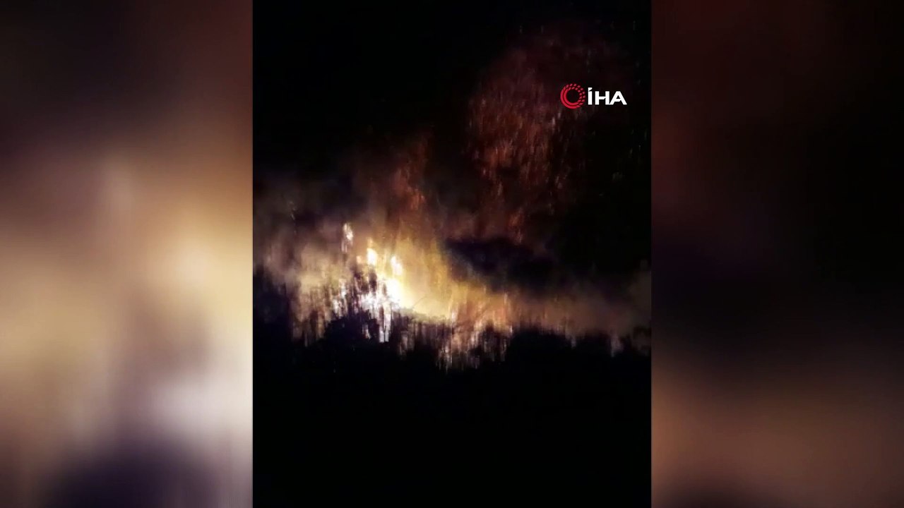 Düzce'deki orman yangınında 10 dönüm arazi küle döndü