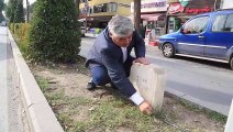 Milas'ta 'refüjdeki mezar taşı' tepkisi - MUĞLA