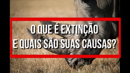 O que é EXTINÇÃO e quais são suas causas?