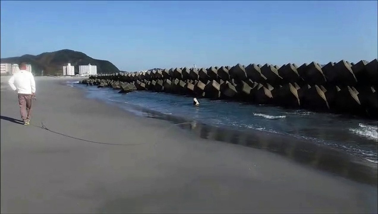 竜宮の磯