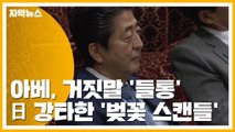 [자막뉴스] 아베, 거짓말 '들통'...일본 강타한 '벚꽃 스캔들' / YTN