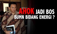 Luhut Pandjaitan Sebut Ahok Bakal Jadi Pejabat BUMN Bidang Energi