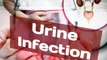 urinary tract infection treatment ,home remedies of UTI,