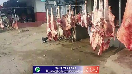 Charsadda: Choti Pul ma Qasai ki Dokan par Kutta Gosht Chat Raha hay.