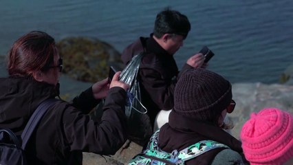 Grönland: Touristenboom auf Kosten der Natur?