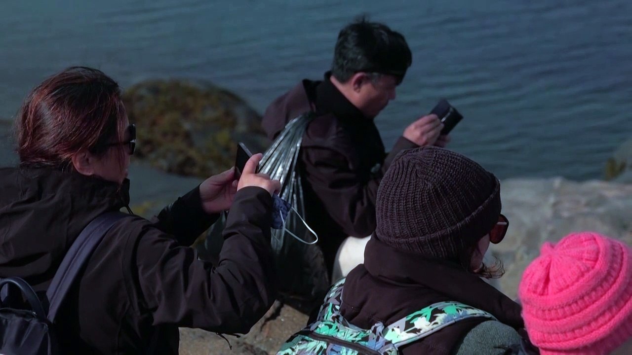 Grönland: Touristenboom auf Kosten der Natur?