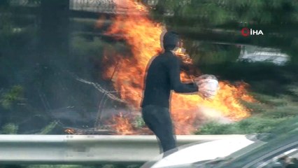 Otoyol kenarında bulunan çam ağaçları alev alev yandı