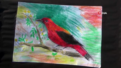 13 yaşındaki Melisa engelleri resimle aştı