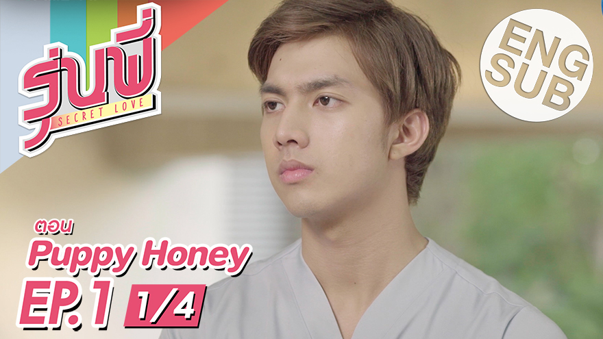 ซีรีส์รุ่นพี่ Secret Love | Puppy Honey