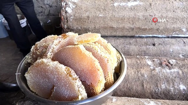 Bitlis’te karakovan balının hasadına başlandı