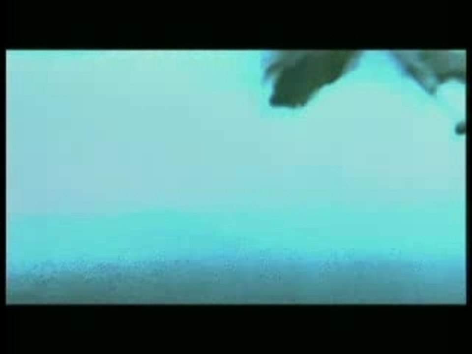 John Rambo