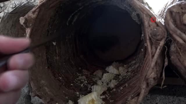 Bitlis'te karakovan balının hasadına başlandı