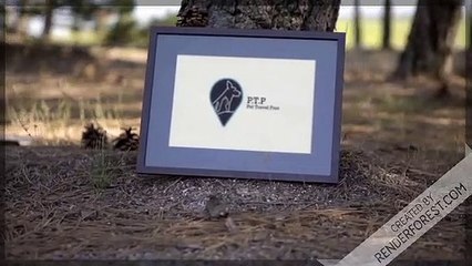 Teafco Argo Airline Pet Carrier