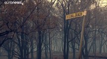 فيديو: ارتفاع حصيلة قتلى حرائق الغابات في استراليا الى أربعة