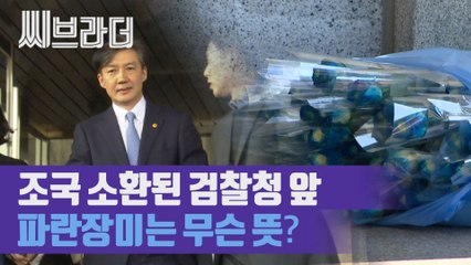 조국 전 장관 피의자 신분 검찰 조사, 검찰청 앞에 놓인 파란장미의 의미는? [씨브라더]