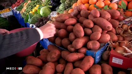 يوميات الفلاح - 14/11/2019