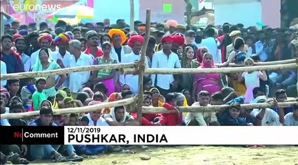 Hindistan'daki deve festivaline dört yüz bin kişi katıldı