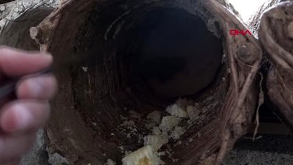 Bitlis türkiye'nin bal ihtiyacının yüzde 2'si bitlis'ten