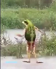 Lahore: The Heart of Pakistan 🇵🇰