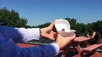 Remise en liberté d'un petit oiseau... et ça termine mal