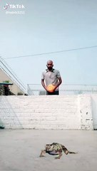 Lahore Highlights 🕌