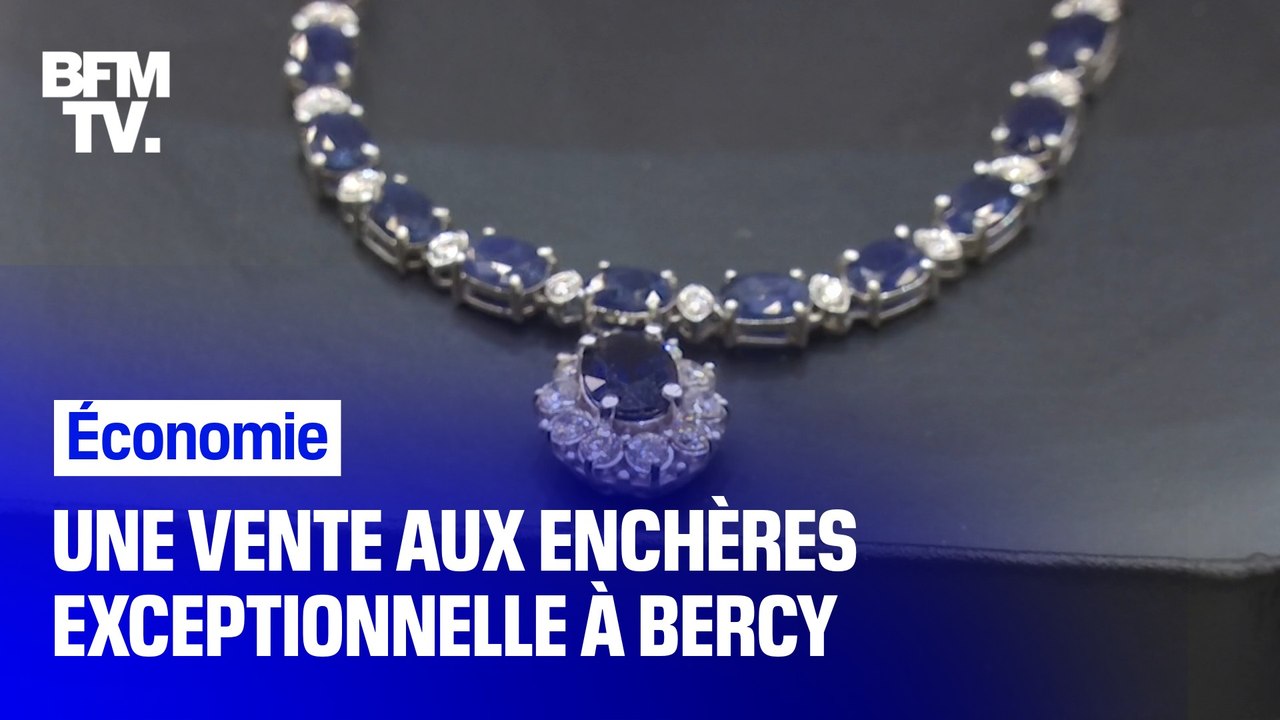 Voitures, sacs, vélos... Bercy organise une ven...