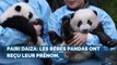 Pairi Daiza : les bébés pandas ont reçu leur prénom