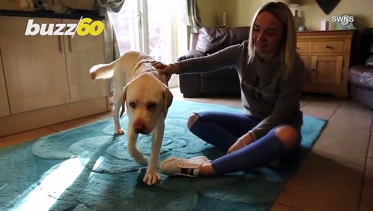 Super Dog Kisses, Paws in to Help Owner When She Suffers Seizures