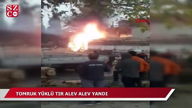 Tomruk yüklü TIR, alev alev yandı
