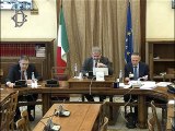 Roma - Meccanismo europeo di stabilità, audizione professor Galli (14.11.19)