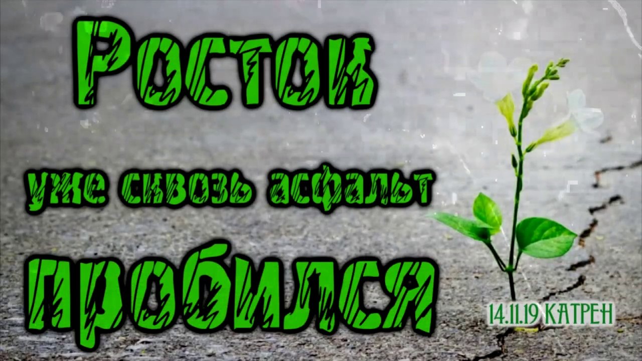 14.11.19 Катрен “Росток уже сквозь асфальт пробился”