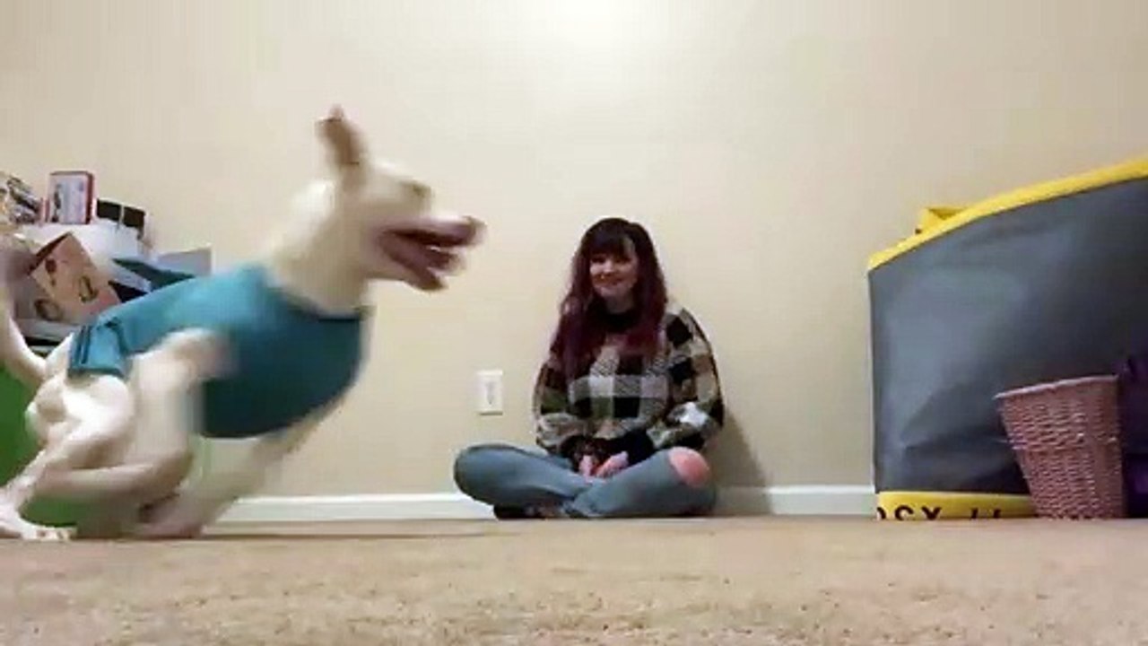 Pluto Gets Playful