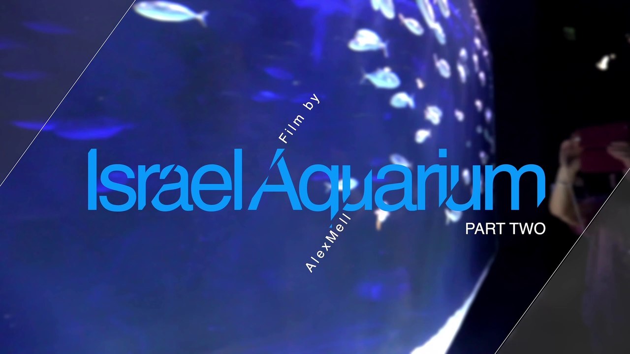 Новый аквариум в Иерусалиме / Israel Aquarium (vol.2)