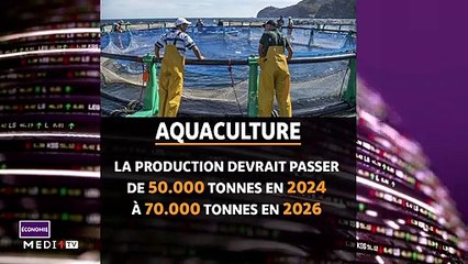 JT Economie - 14/11/2019