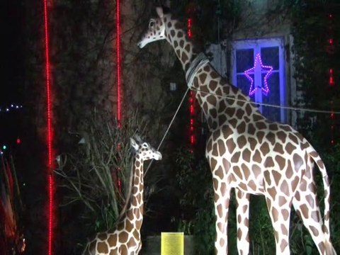 La Ferme aux Mille Lumières 2019 à Fitilieu .film by JC Guerguy bande annonce