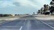 Tesla Autopilot Detects Ducks Crossing the Highway
